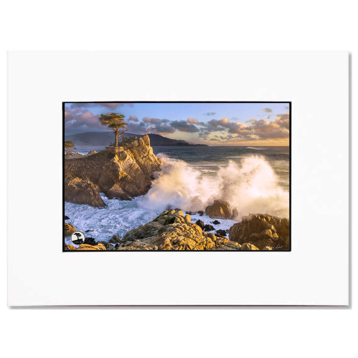 "Sunset Symphony" Matted Print by Joann Dost