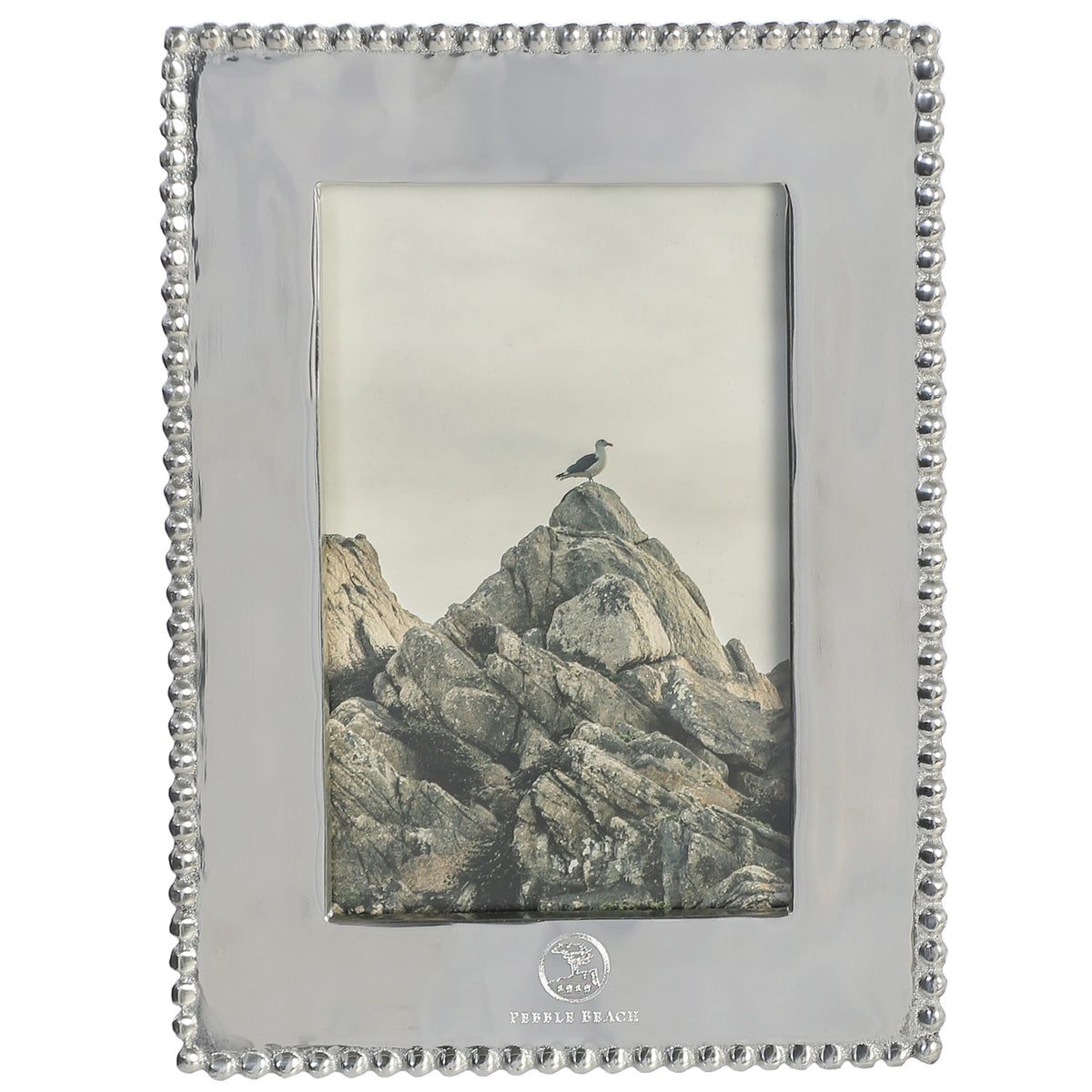 A silver picture frame with a beaded border and a small crest logo at the bottom, holding a landscape photograph of a bird on a rocky peak.