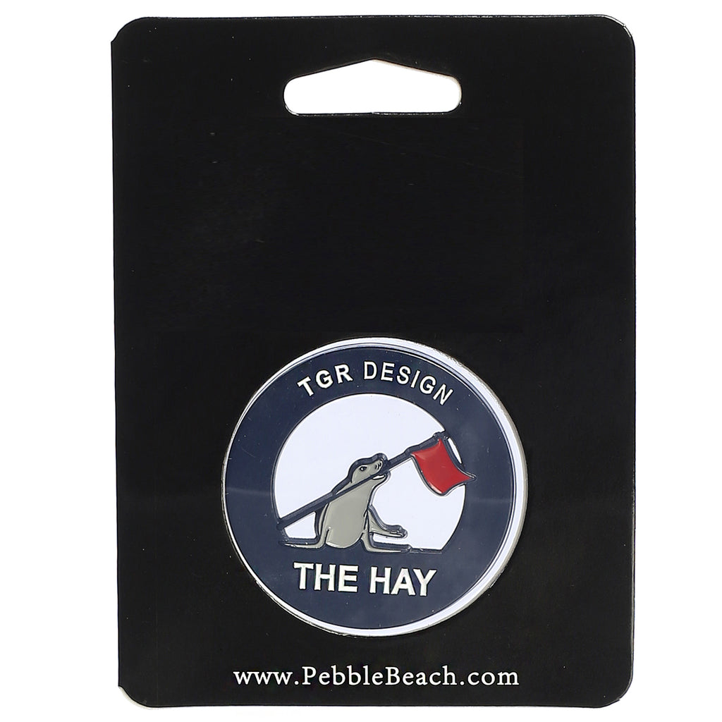 The Hay Commemorative Coin