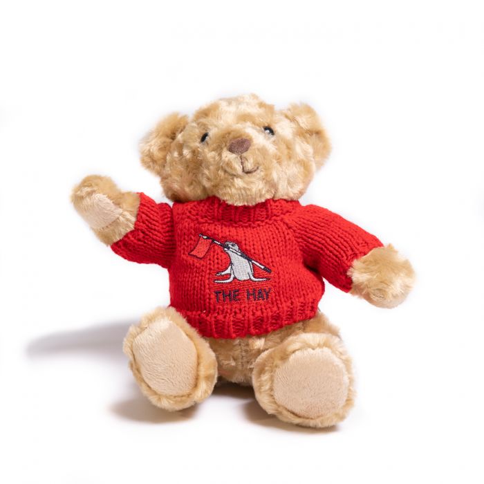 Teddy bear wearing a red sweater with the hay logo on a white background