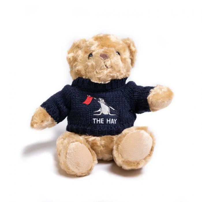Teddy bear wearing a navy sweater with the hay logo on a white background