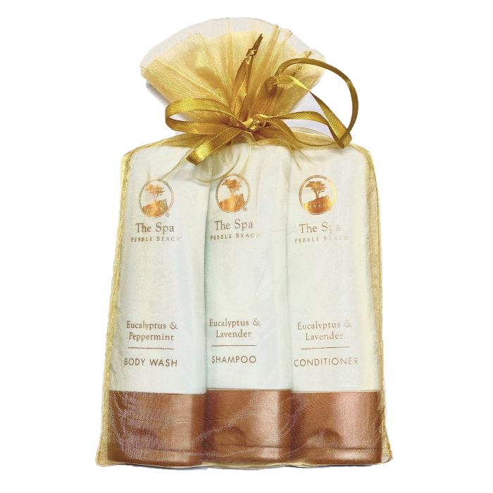 Pebble Beach Spa Shower Kit