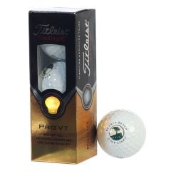 PRO V1 Golf Balls